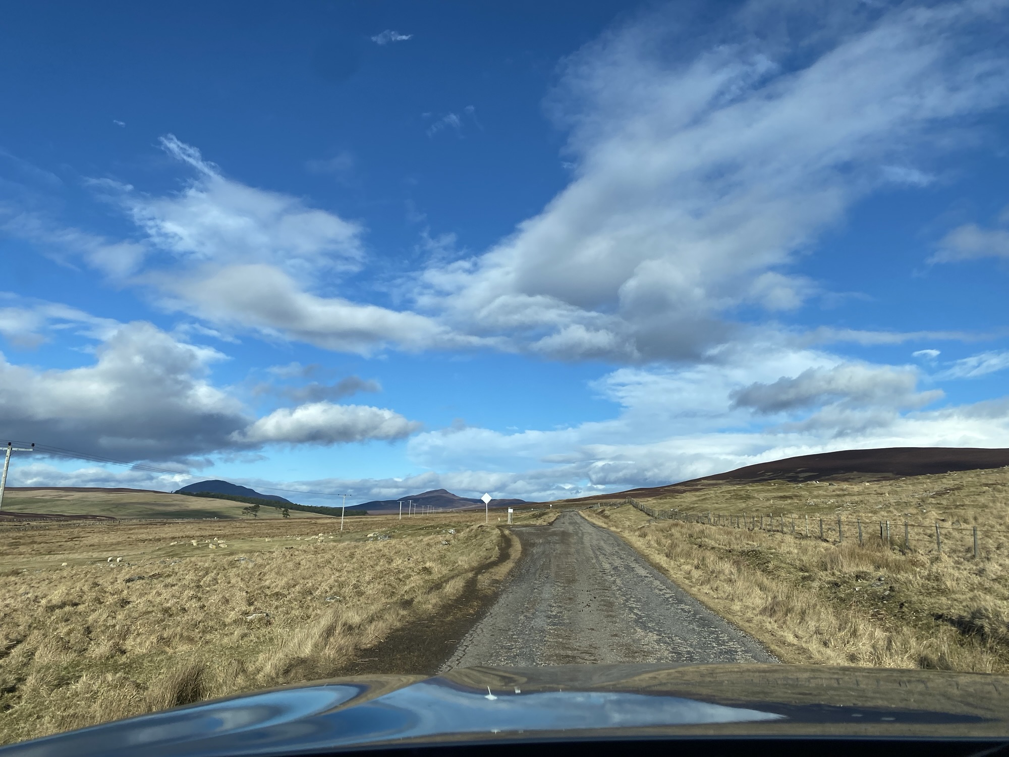 Big blue skies with sculpted clouds over a rural landscape.